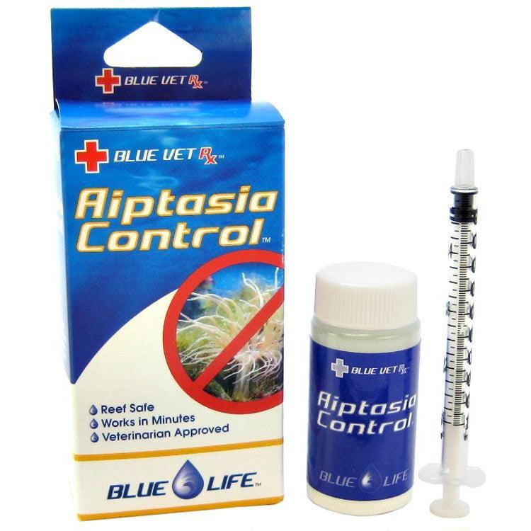 aiptasia control אפטזיה